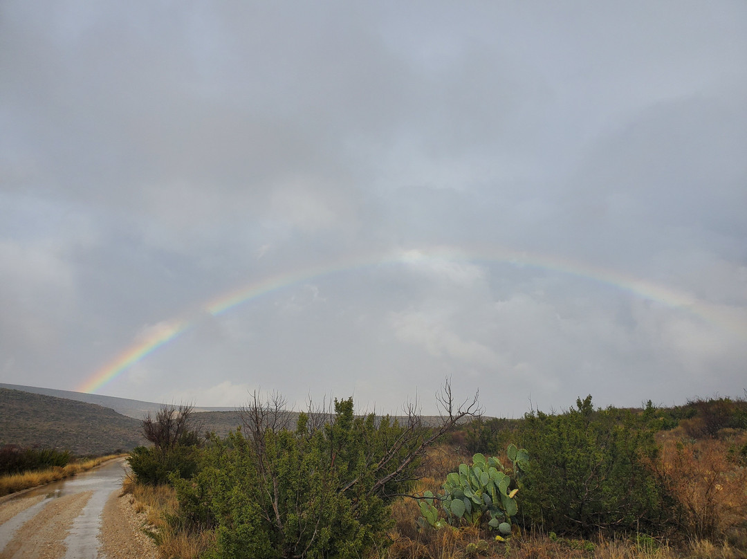 Walnut Canyon Desert Drive-卡尔斯巴德洞穴国家公园必去景点