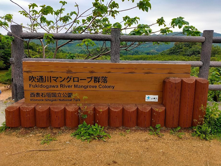 Rhizophoraceae Plant Community of Fukidogawa River景点图片