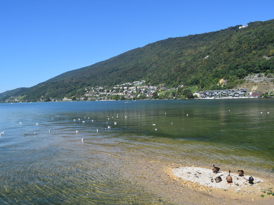 Lake Biel景点图片