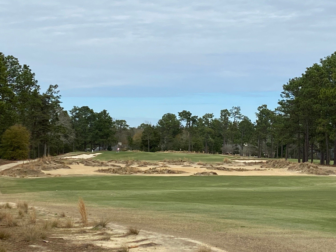 Pinehurst Course Number 4景点图片
