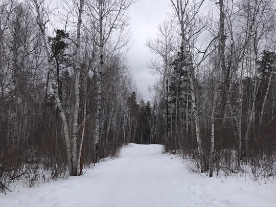 Pine Point Rapids-Oakbank必去景点