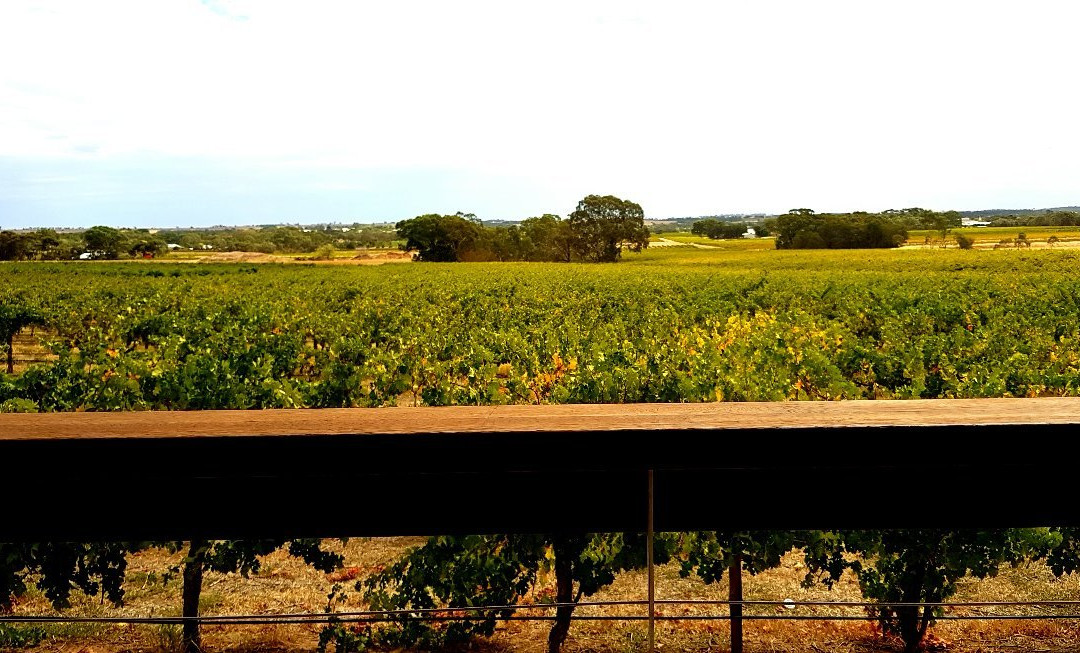 Seabrook Wines景点图片