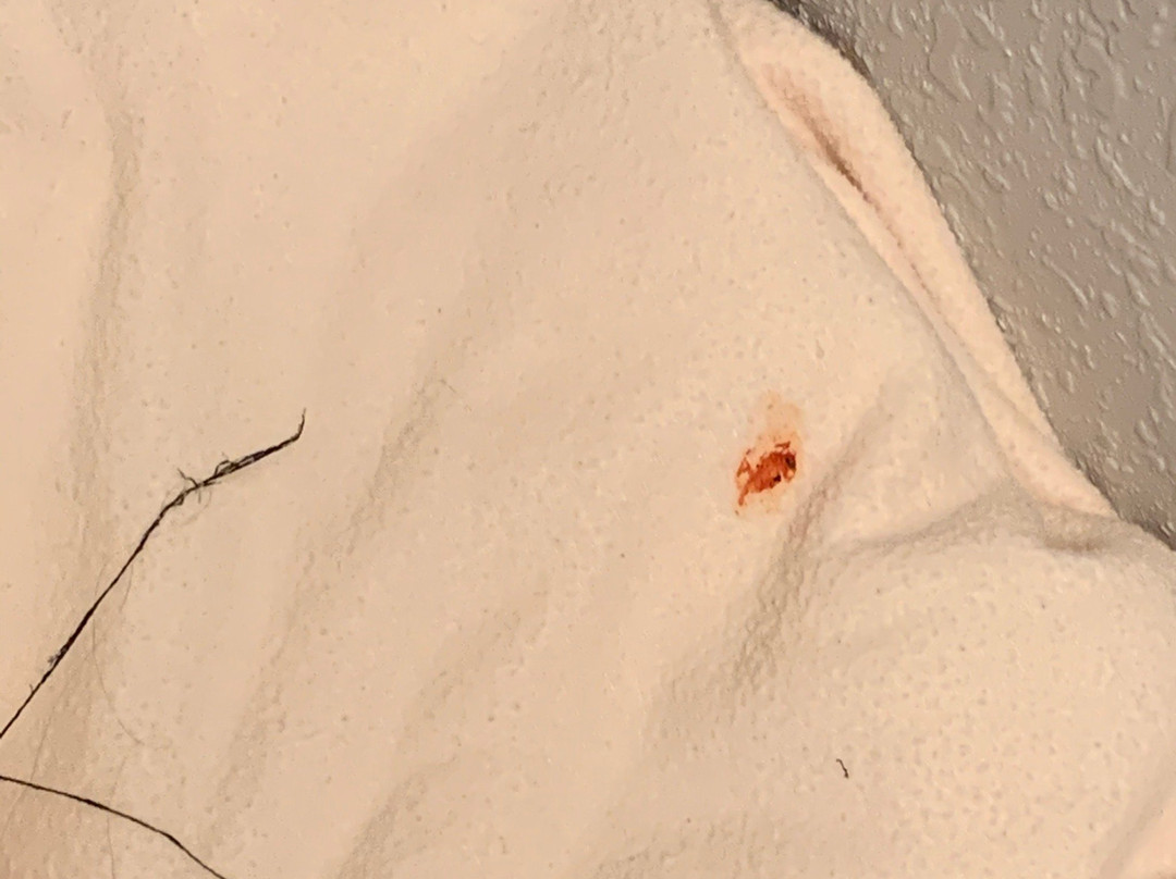 Great Wolf Lodge-梅森必去景点