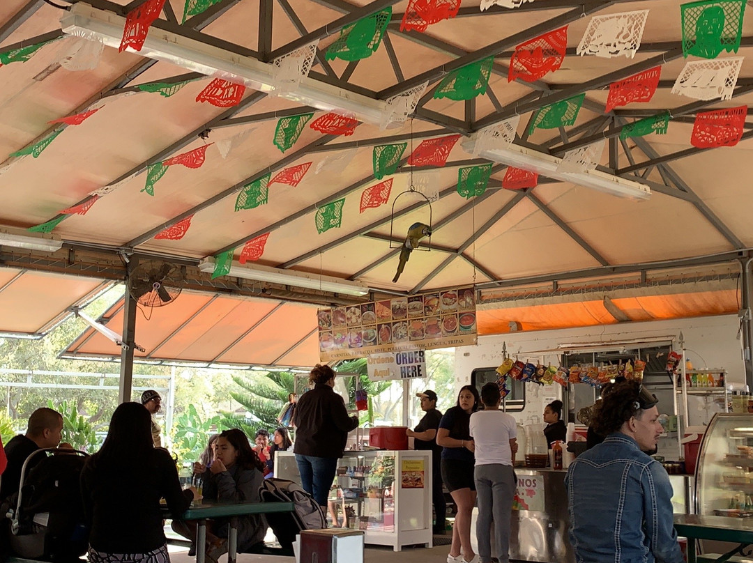 Los Potosinos Taqueria