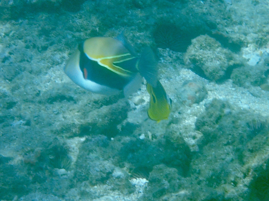 Kuilima Cove-Kawela Bay必去景点