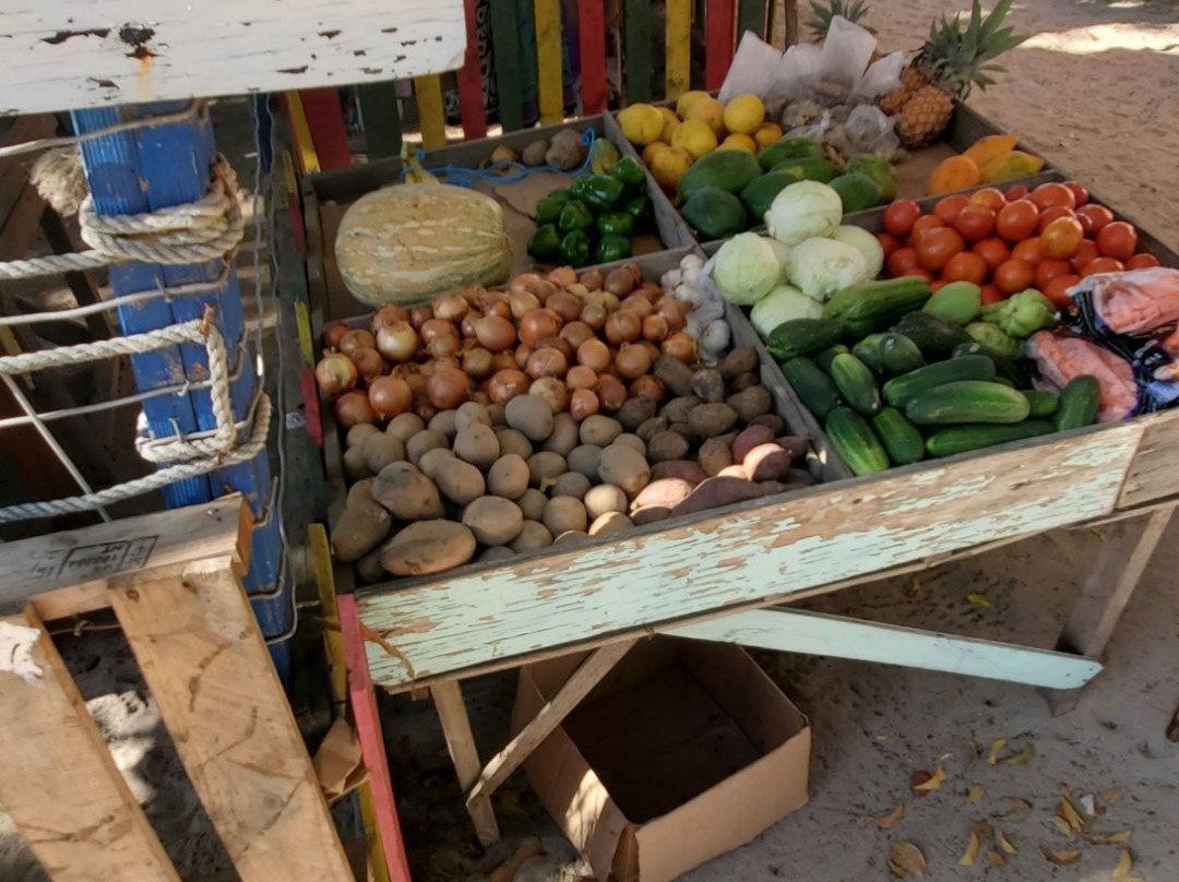 Lambi Queen Tours-Carriacou Island必去景点