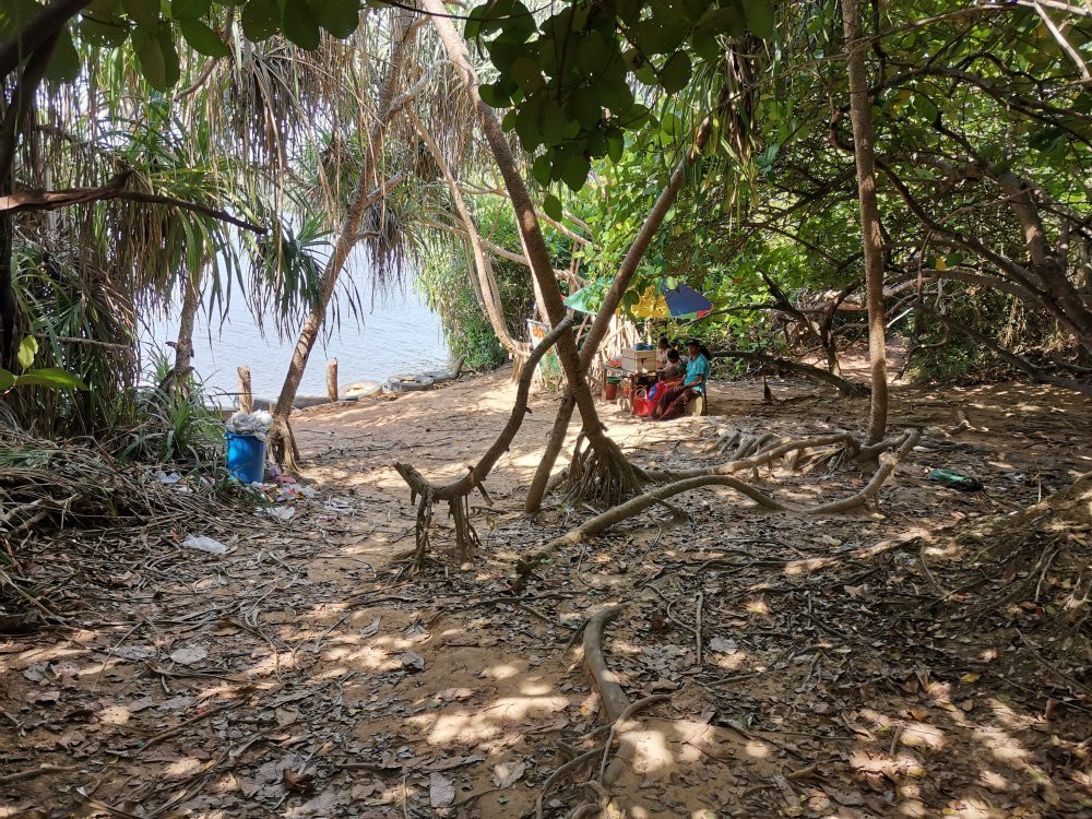 Koggala Lake景点图片
