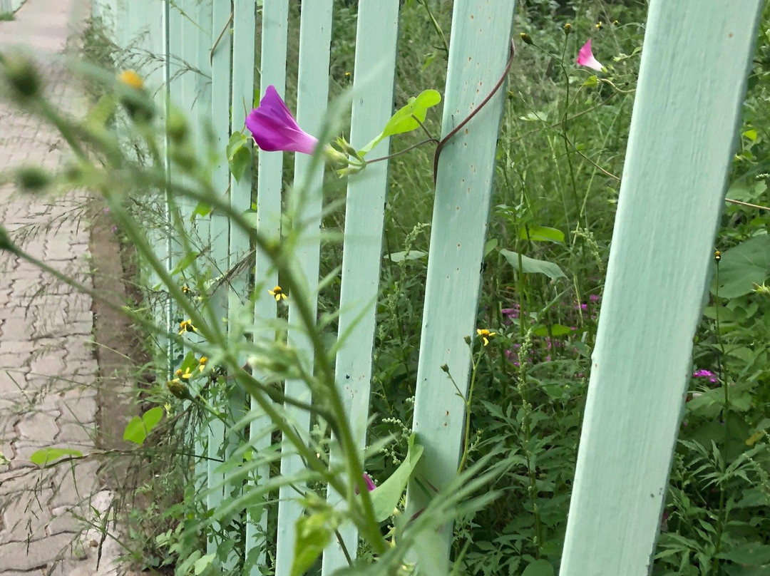 Saint Augustines B&B and Conference Centre主图