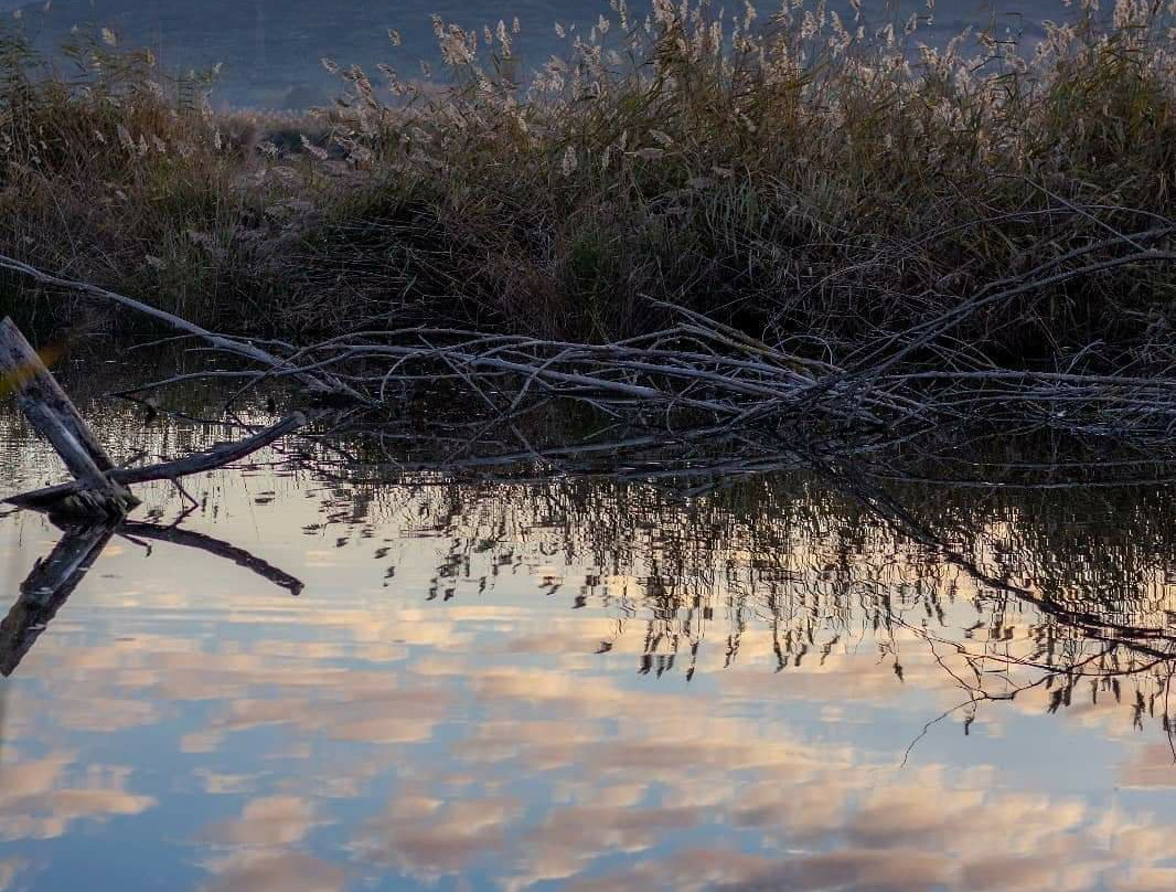 La laguna del Padul景点图片