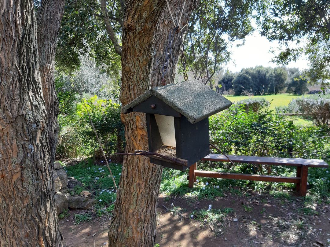 Oasi WWF del Lago di Burano-Capalbio Scalo必去景点