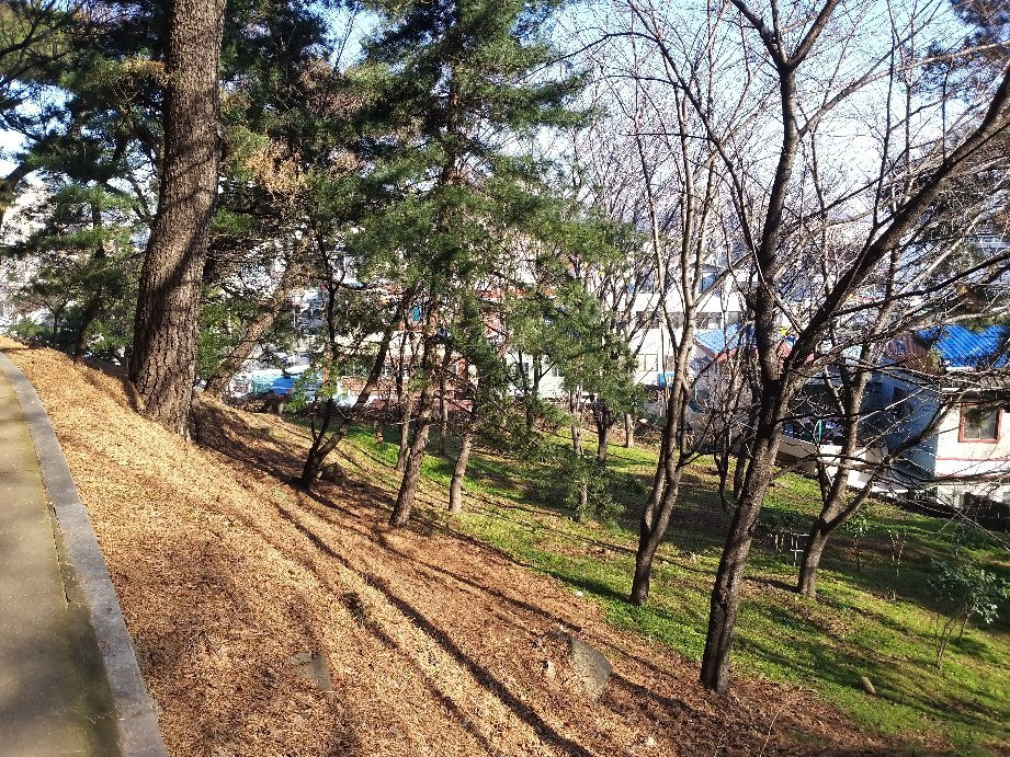 Hakseong Park-蔚山必去景点