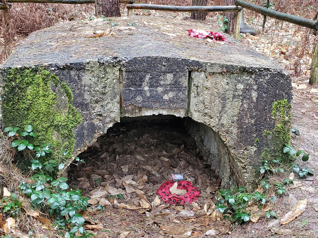 Ypres Battlefield Tours-伊普尔必去景点