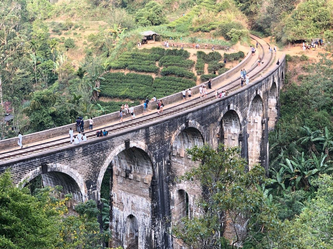 Dee Lanka Tours景点图片