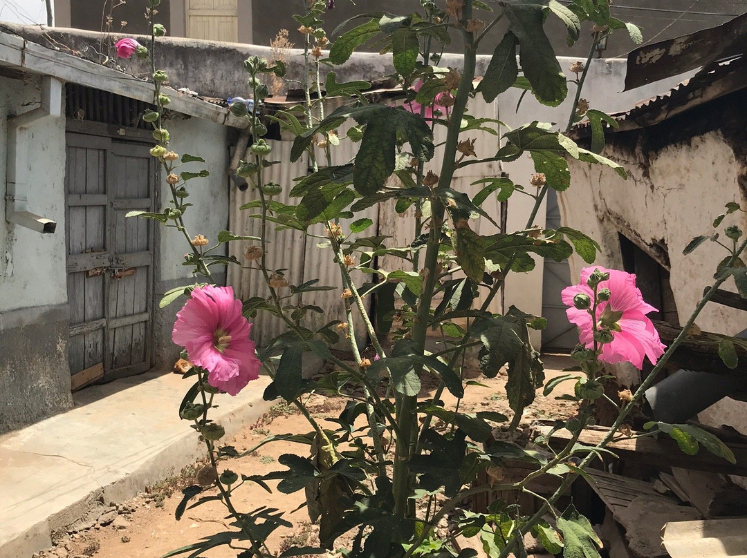 Zubeyda Waber Harar Cultural Guesthouse主图