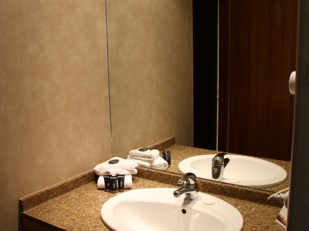 普利茅斯国际优质酒店主图