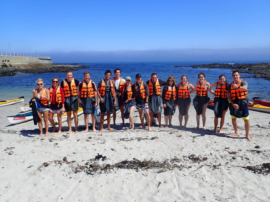 Cape Kayak Adventures-Three Anchor Bay必去景点