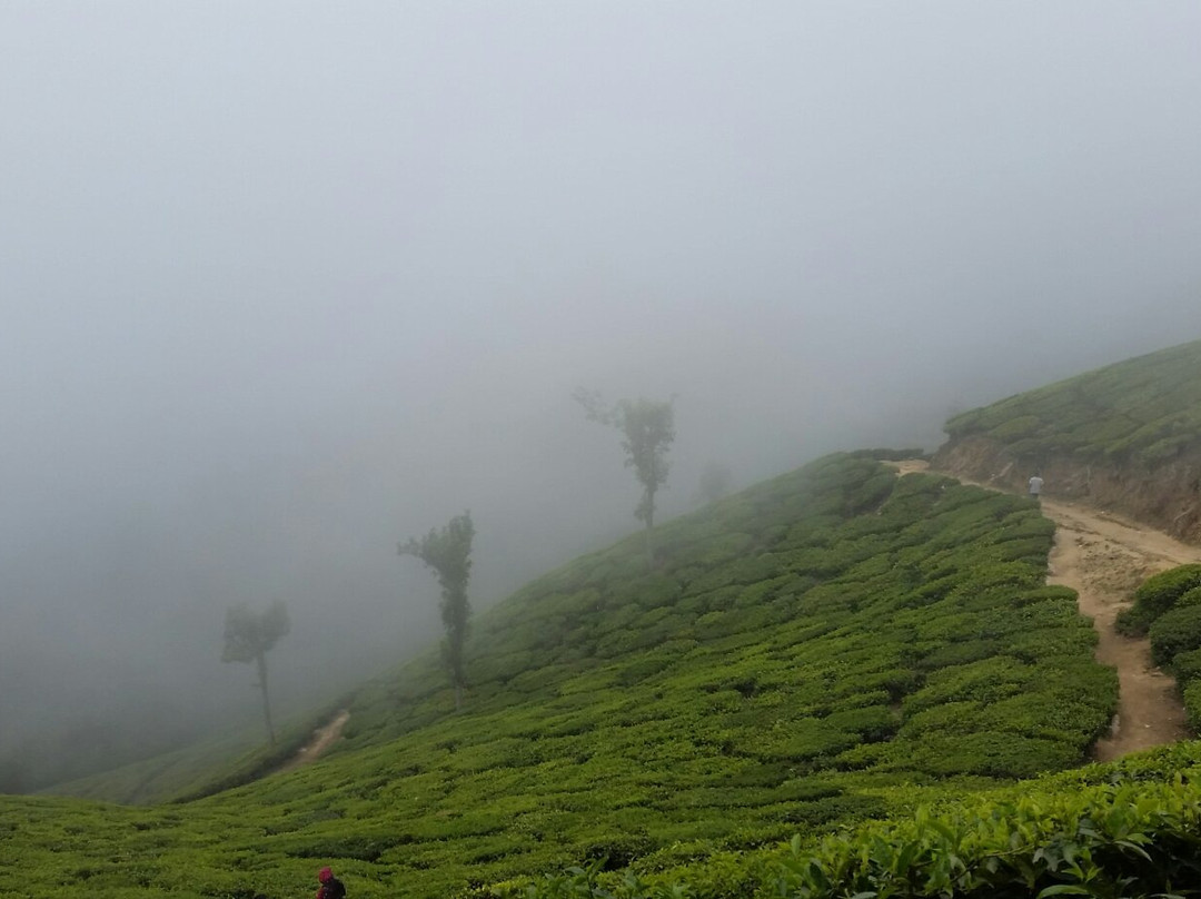 Top Station View Point-Theni必去景点