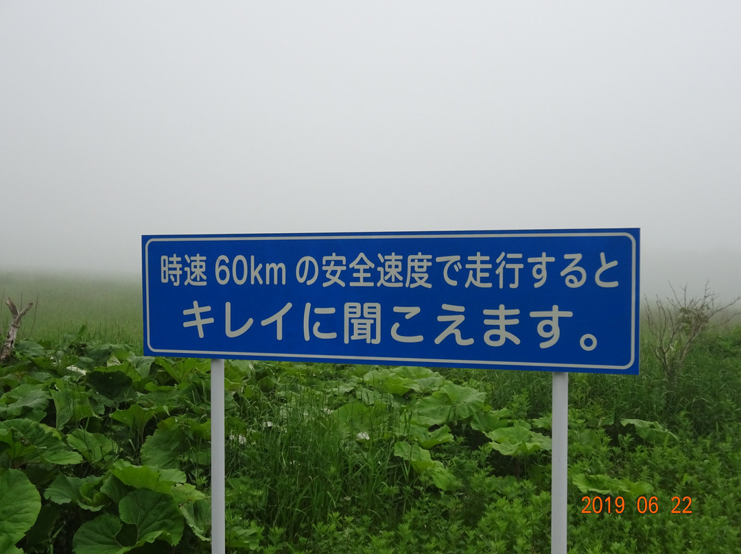 旋律道路-标津町必去景点