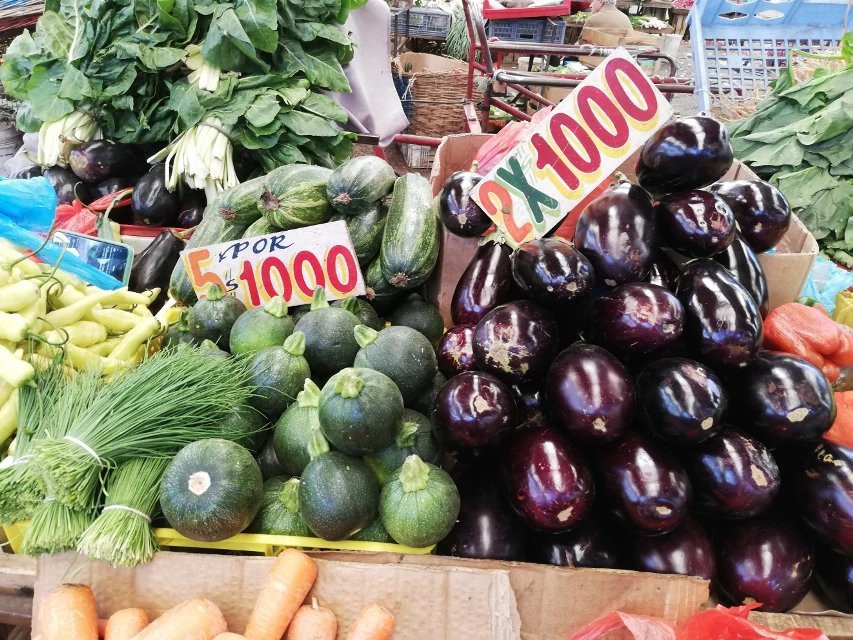 Mercado de Chillan-奇廉必去景点