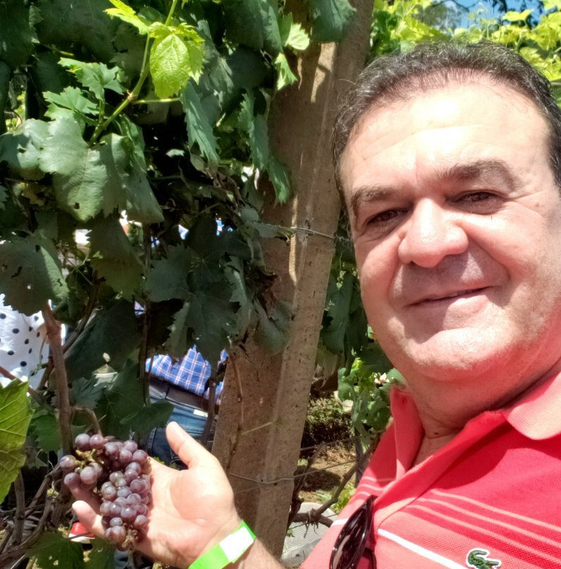 Winery Marchese DI Ivrea景点图片