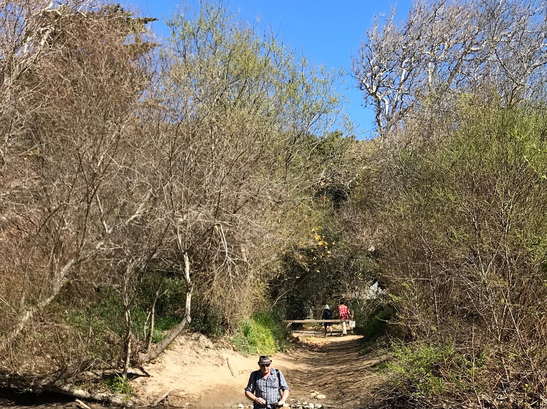 Andrew Molera State Park-大苏尔必去景点