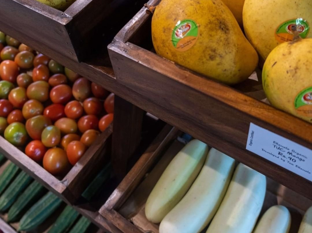 Good Market Battaramulla-Battaramulla必去景点