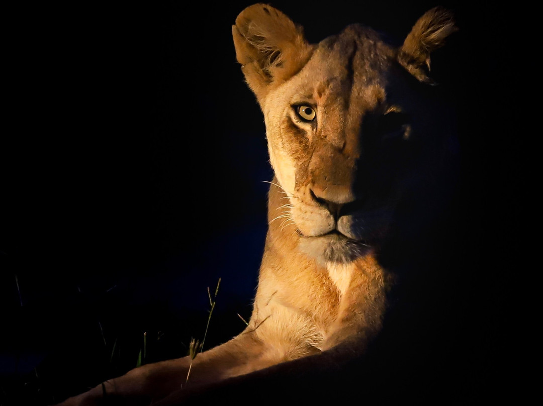 Africa Photographic Services-白河必去景点