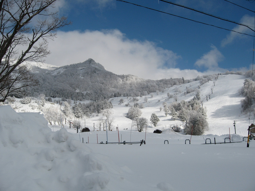 Yamada Farm, Yamaboku Wild Snow Park景点图片