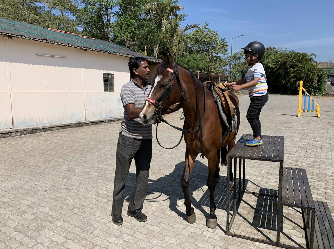 Aamby Valley City主图