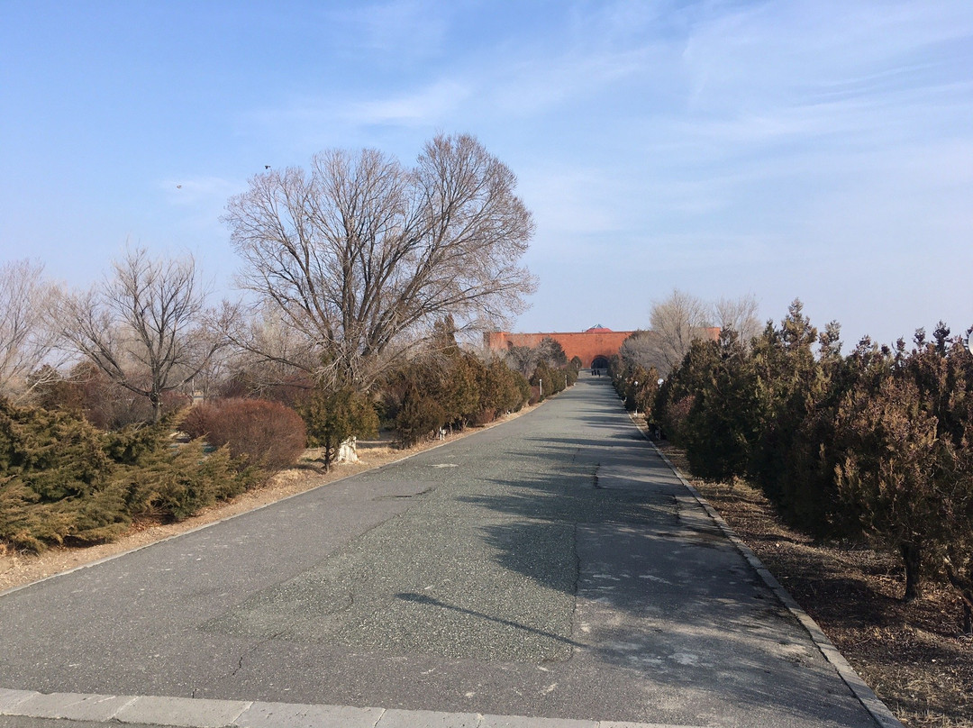 Sardarapat Memorial景点图片