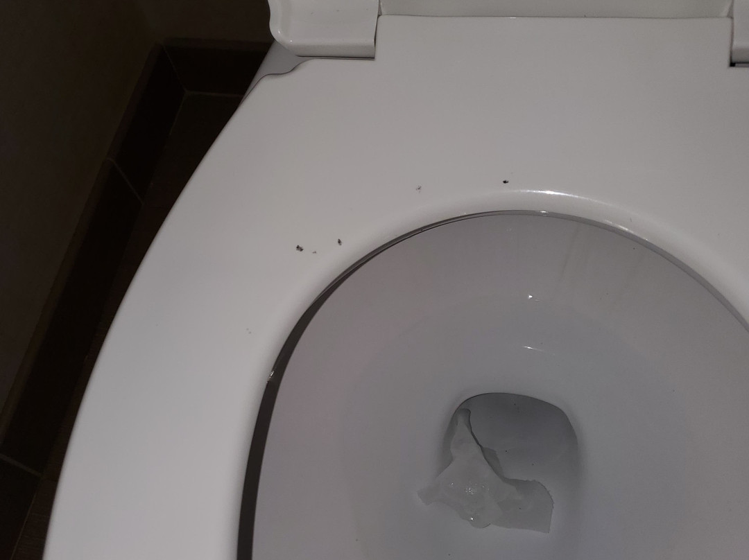 Comfort Inn & Suites Sturbridge - Brimfield主图