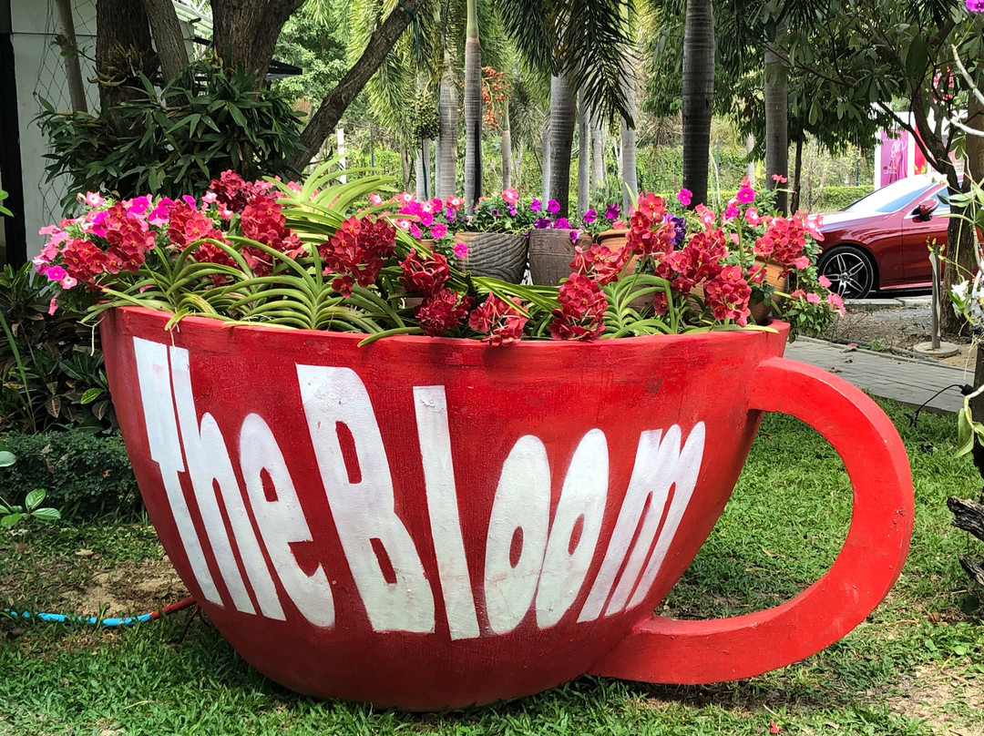 The Bloom By TV Pool景点图片
