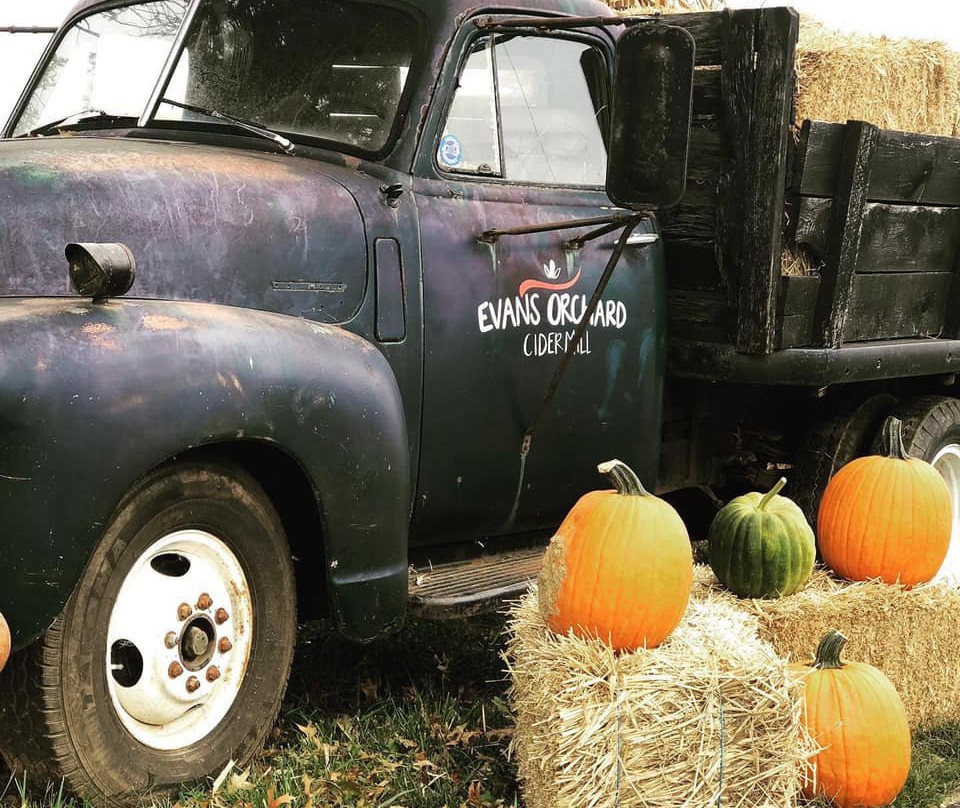 Evans Orchard & Cider Mill-Georgetown必去景点