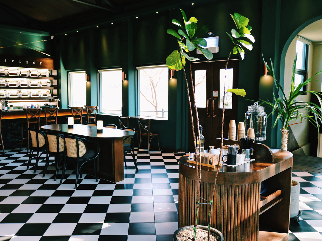 트리팜主图