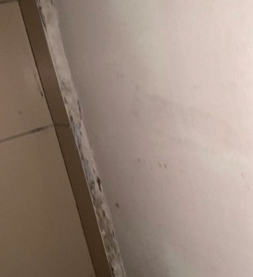 Adina Drive In Motel主图