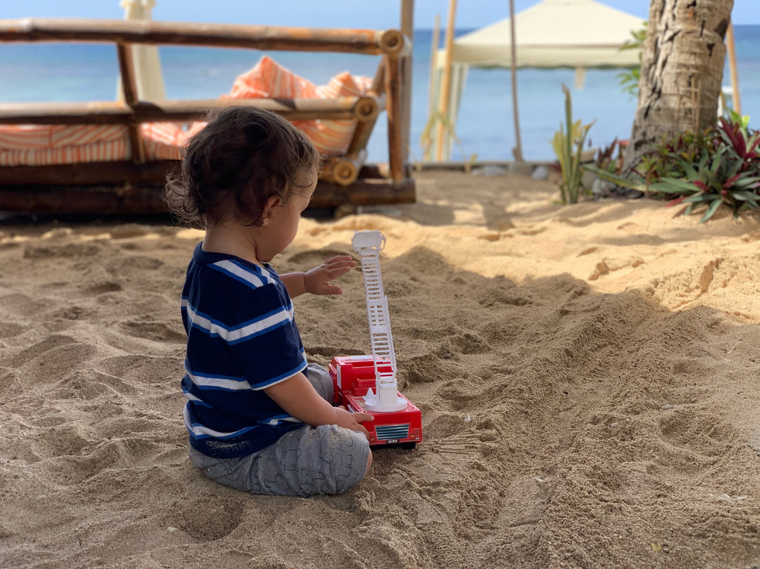 The Beach House主图