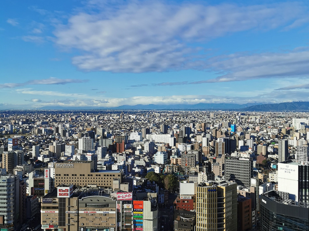 Nagoya JR Gate Tower Hotel主图