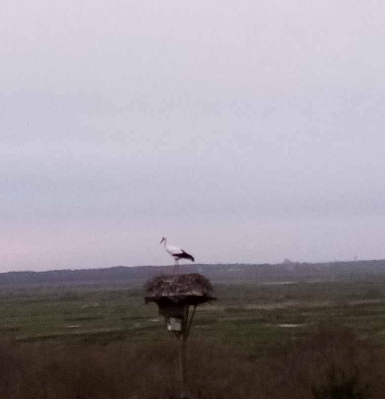 Domaine Terrocéane主图