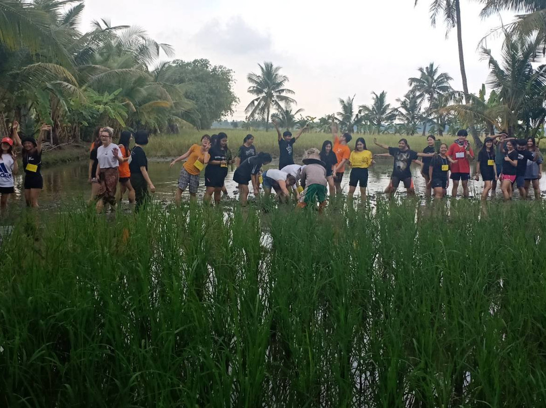 Kar Thoxng Theiyw Cheing Kaset Ban Krathong-挽西必去景点