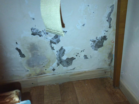 图林根酒店主图