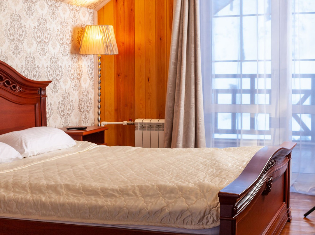 Leontopodium Teletskoye主图