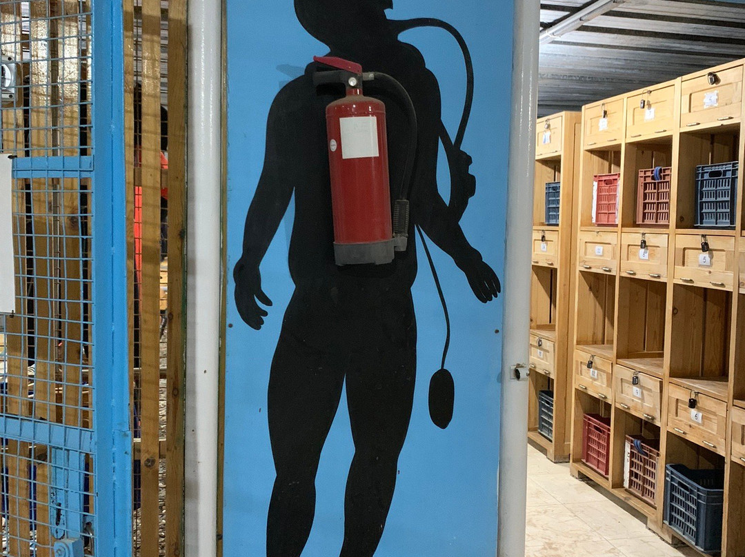 Diving El Flamenco-艾尔可西利亚必去景点