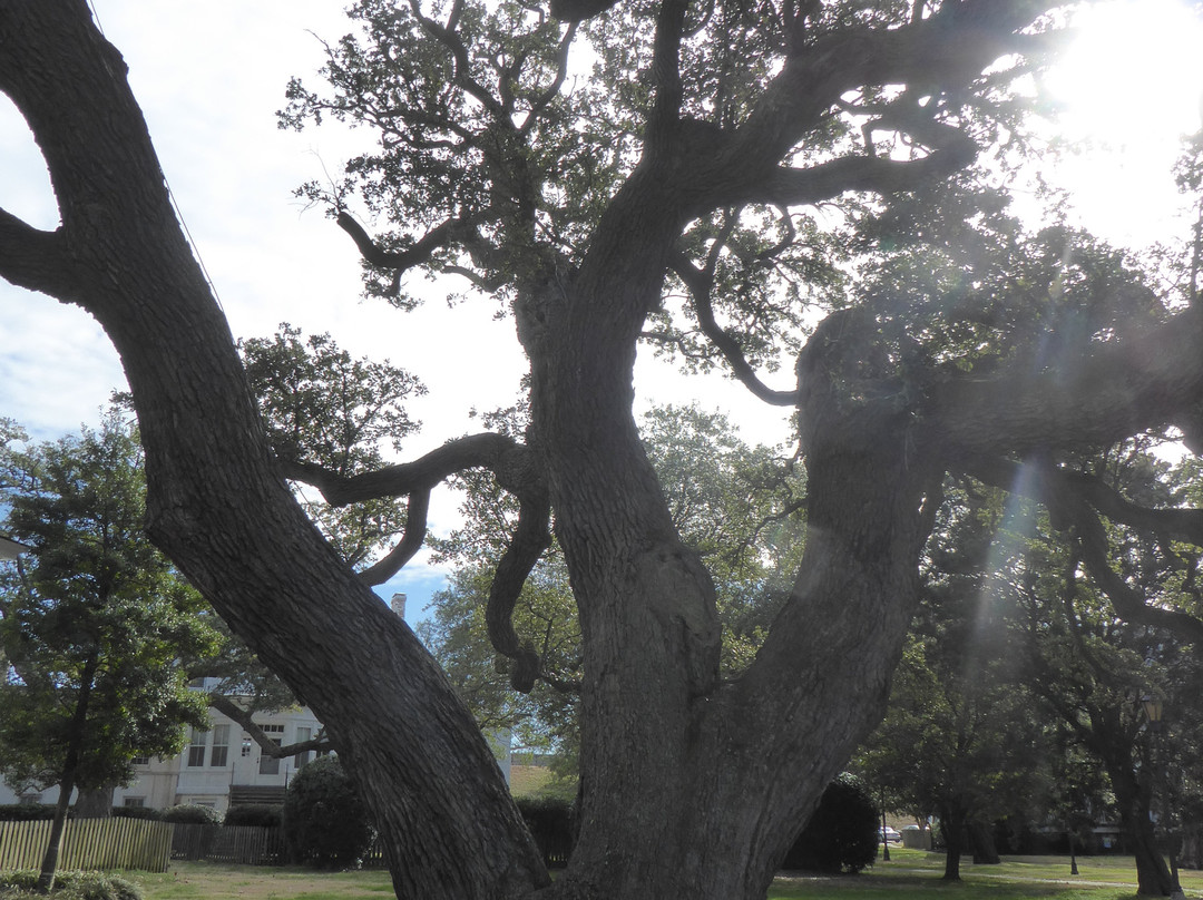 Fort Monroe National Monument-汉普顿必去景点