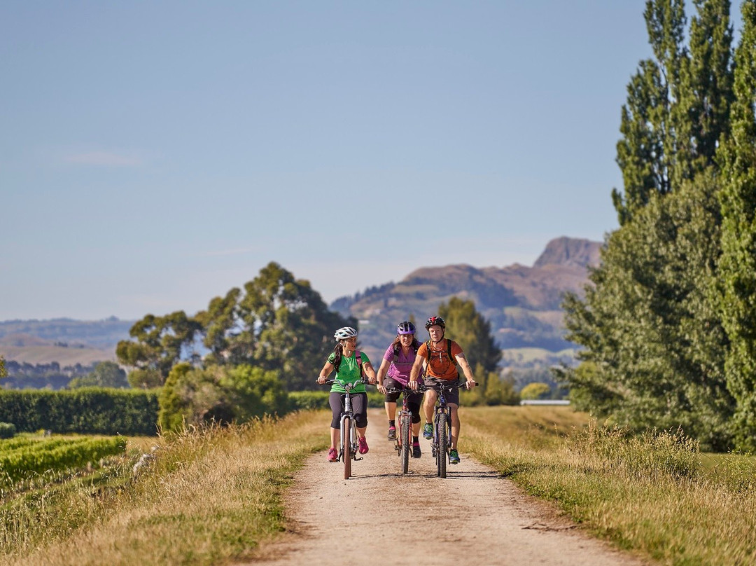 Hawke's Bay Trails景点图片