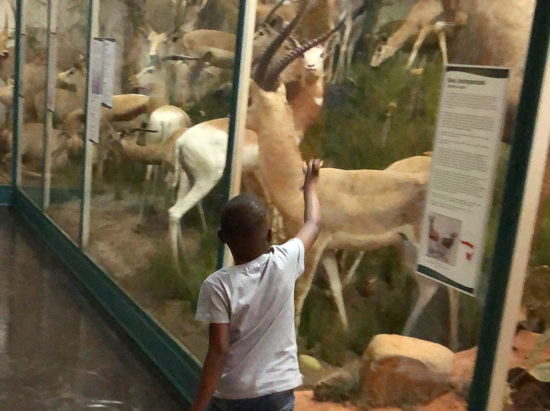 KwaZulu-Natal Museum-彼得马里茨堡必去景点