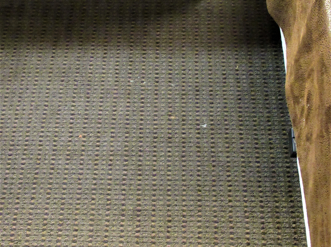 Quality Inn Bridgeport-Clarksburg主图