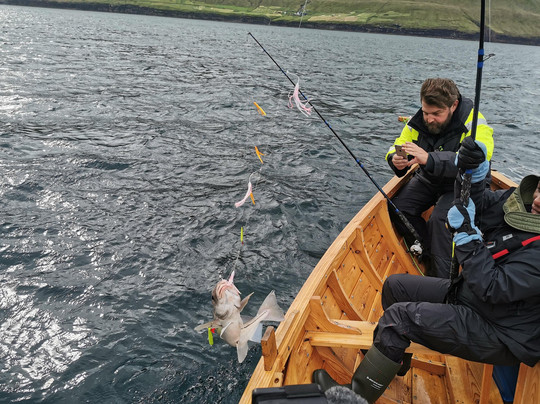 boat.fo-Hvannasund必去景点
