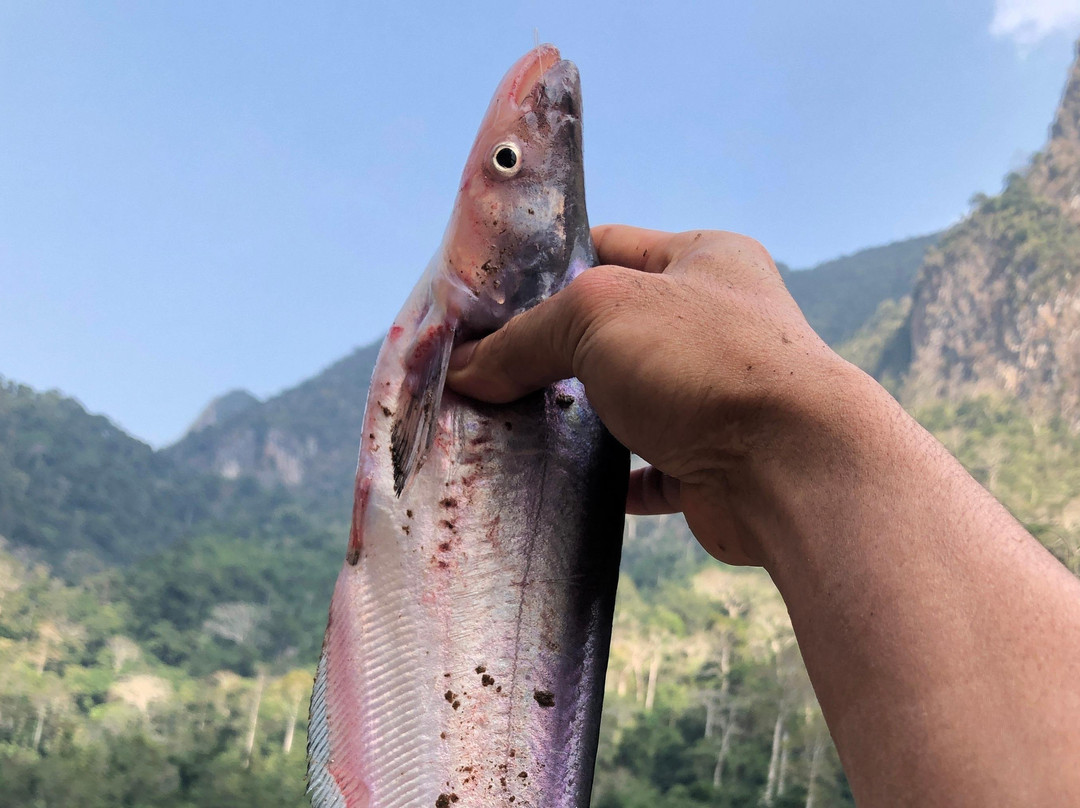 A private authentic tour with a local driver in Laos-琅勃拉邦必去景点