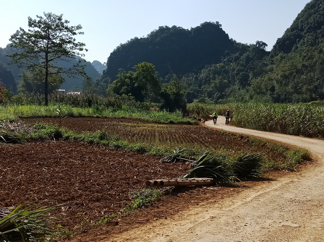 Cao Bang Adventure Tour景点图片
