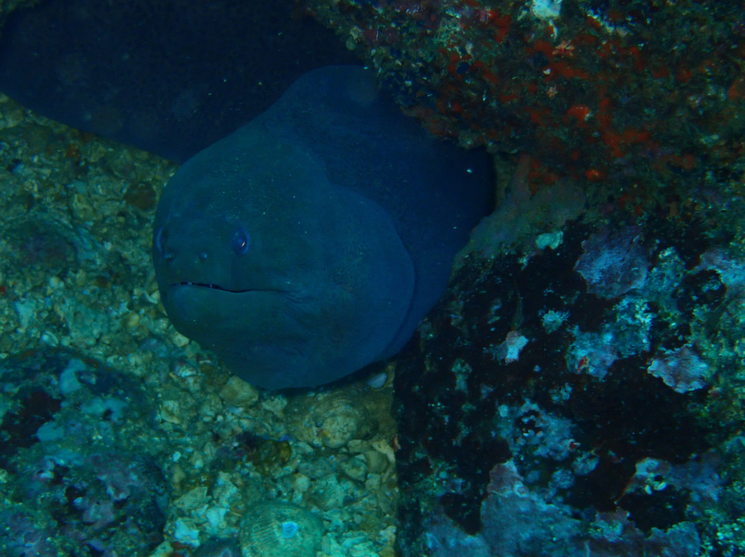 Polhena Diving Center-马塔拉必去景点